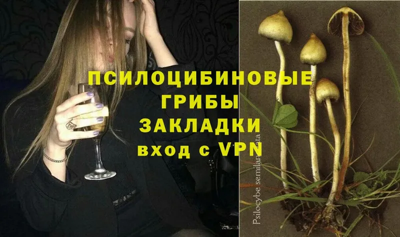 Галлюциногенные грибы MAGIC MUSHROOMS  Старый Оскол 